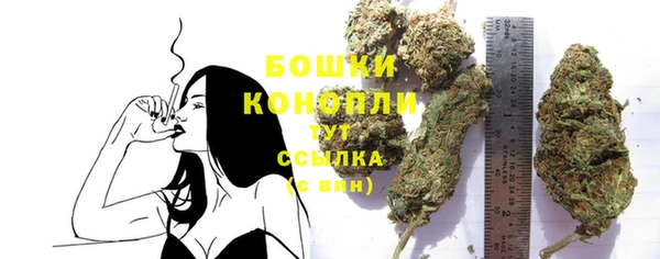 прущие крисы Беломорск