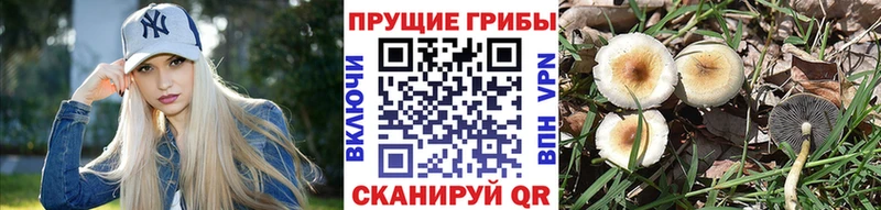 Купить  Макушино  Галлюциногенные грибы мухоморы 